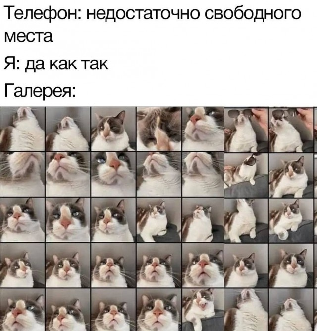 Так себе картинки 17.11.22