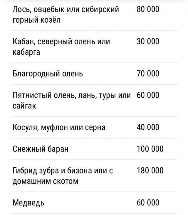 Редкого «саблезубого» оленя сбили в Приморье