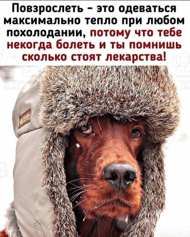 Не очень адекватный юмор