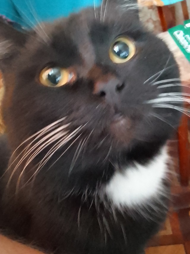 Которабство