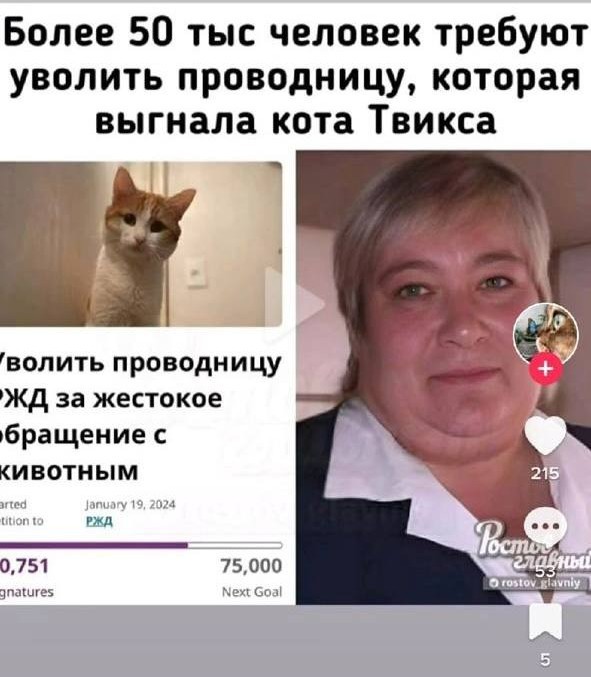 Защитники кота Твикса закидали угрозами женщину из Самары, спутав ее с проводницей РЖД, которая выбросила питомца из поезда.