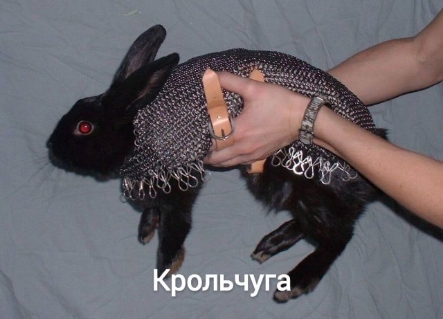 Подборка страдающих средневековых картинок и не только