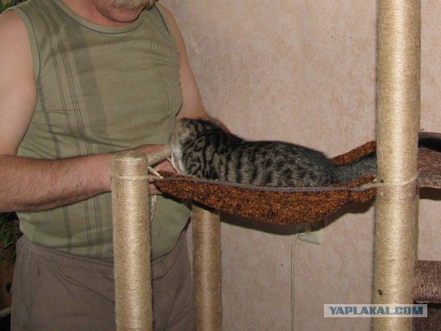 Резиденция для Маршала
