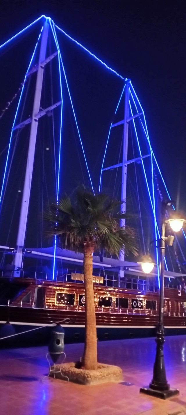 Подборка интересных и веселых картинок 13.02.24