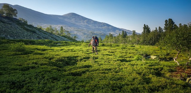 Единственная выжившая постаралась забыть о том, что видела. Трагедия группы Коровиной
