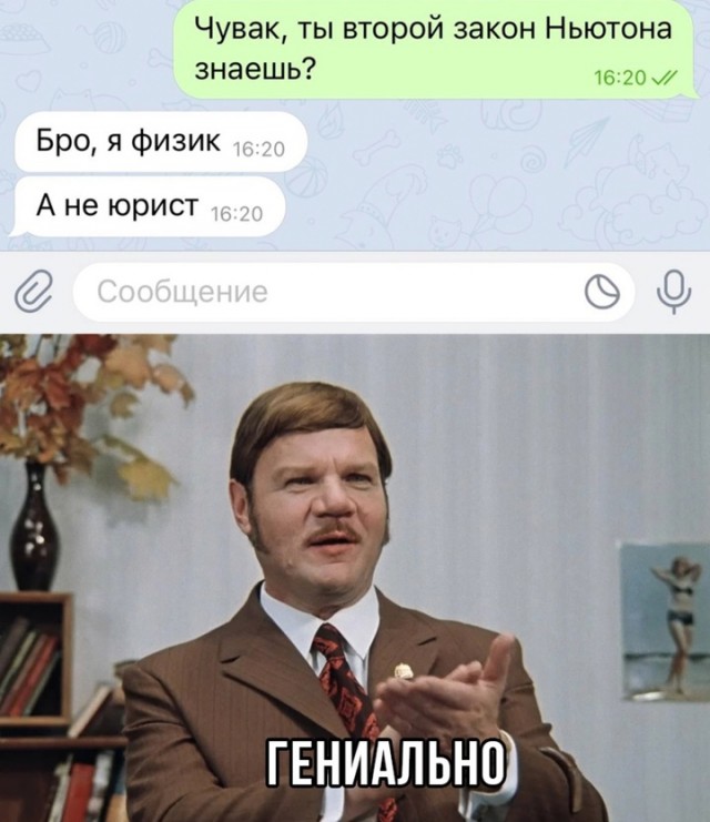 Весёлый полтишок 29.08.24