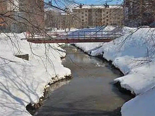 Чудо природы в Барнауле