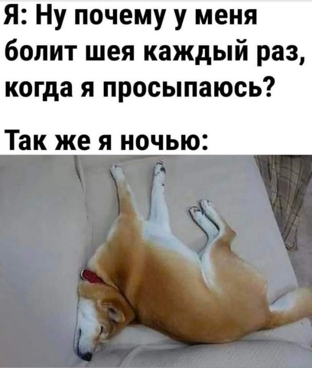 Так себе картинки 13.02.25