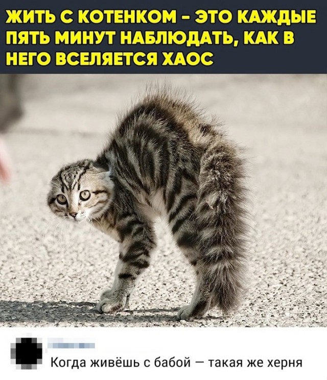 Всего понемногу. От 07.03.2025
