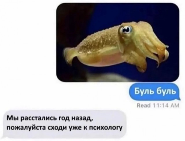 Немного юмора в текстах и указаниях