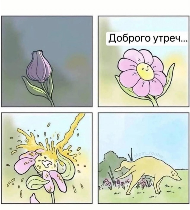Маленькая пятница 4.06.25