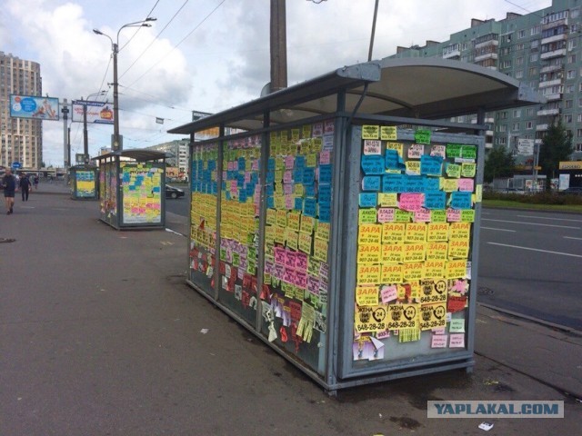 В Петербурге мужчин впервые привлекли за занятия проституцией
