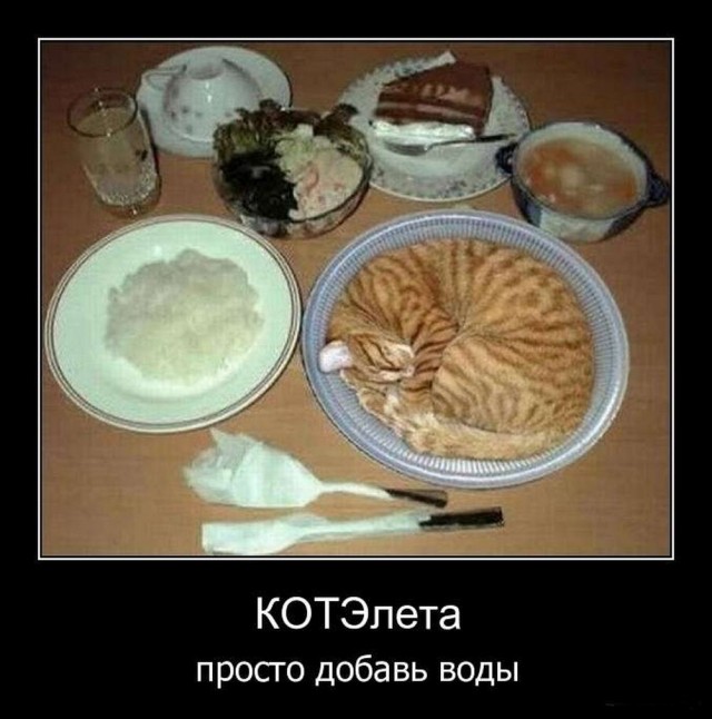 Так себе картинки 13.06.25