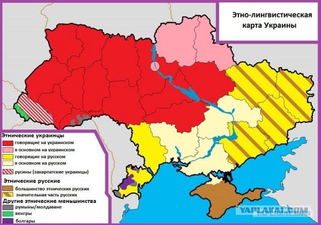 «Возврат к русскому»: среди украинских студентов снова растёт популярность русского языка