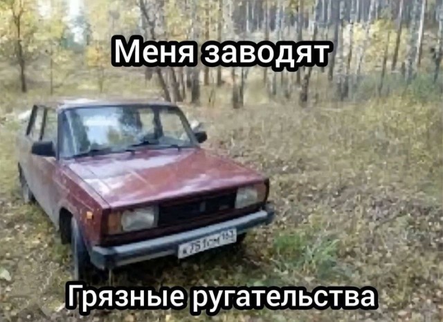 Веселое настроение в картинках (01.10.2025)