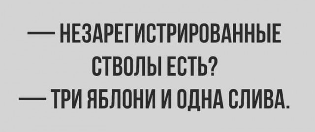 Веселое настроение в картинках (06.10.2025)