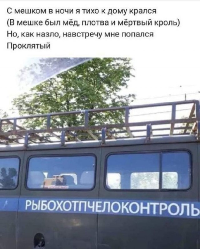 Картинки для деградации 76 (разной степени свежести)