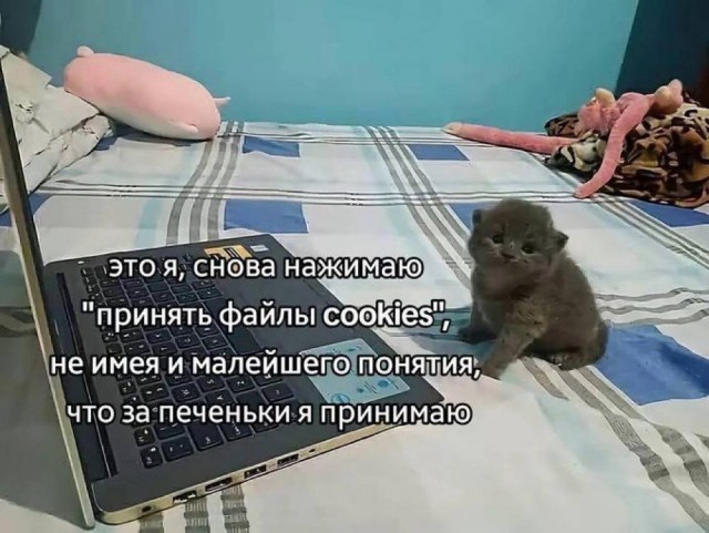 Небаянистая деградация 6