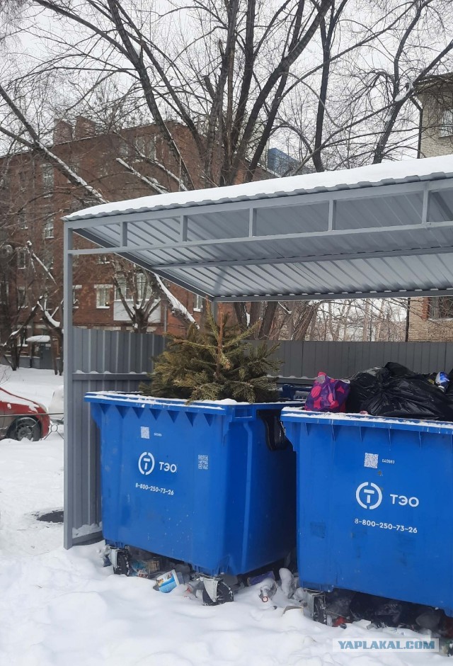 Ответ на "Будет ли Новый Год?"