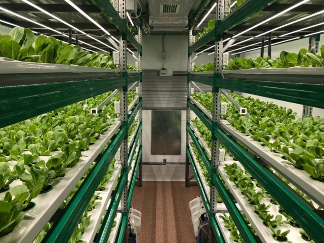 День Рождения В.И.Ленина!