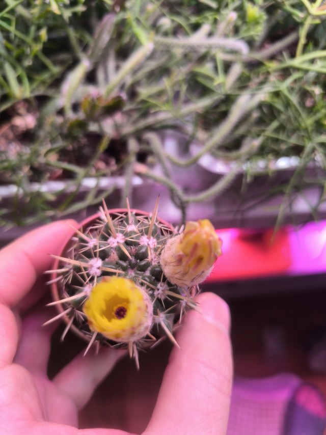 Поздравляю всех причастных с праздником!