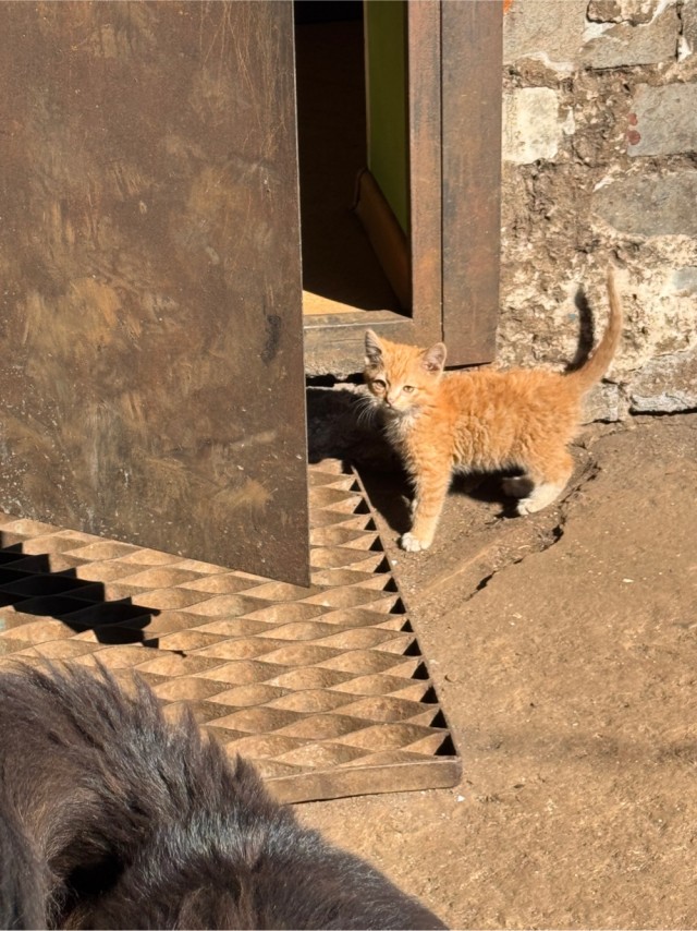 Закат