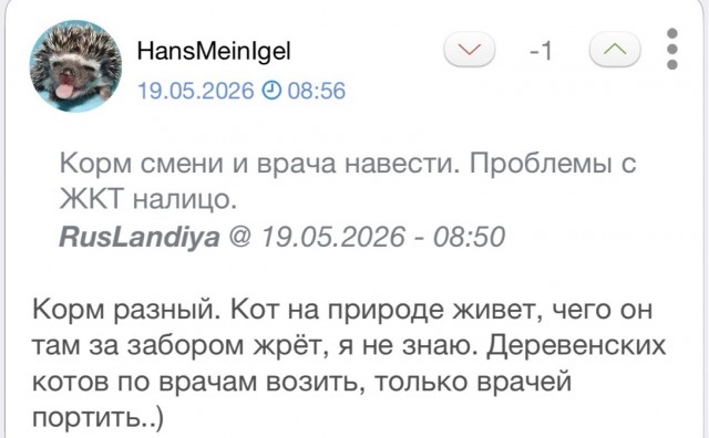 Котик ушёл.