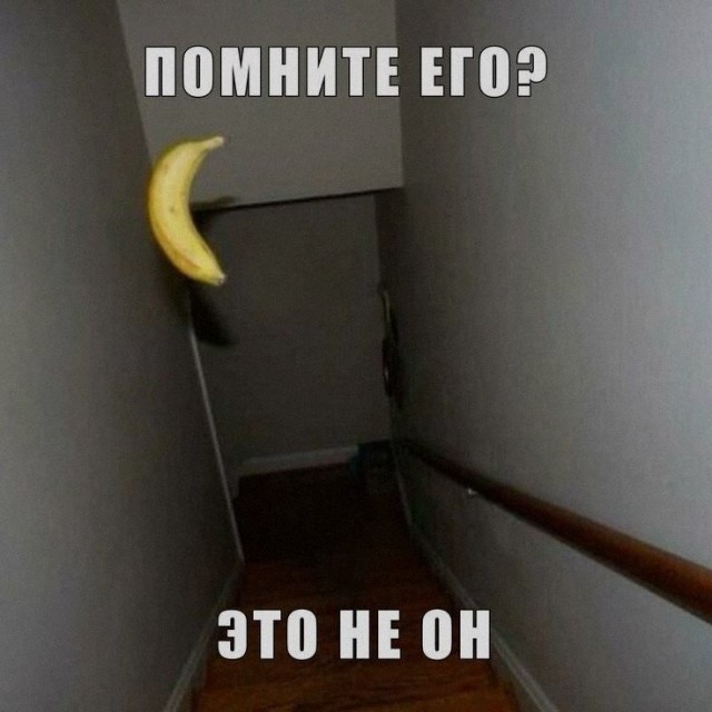 Что-то уже коньяка хочется
