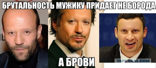 Бородатые звёзды