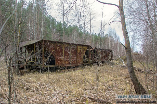 Нелегальный поход в чернобыльскую зону отчуждения.