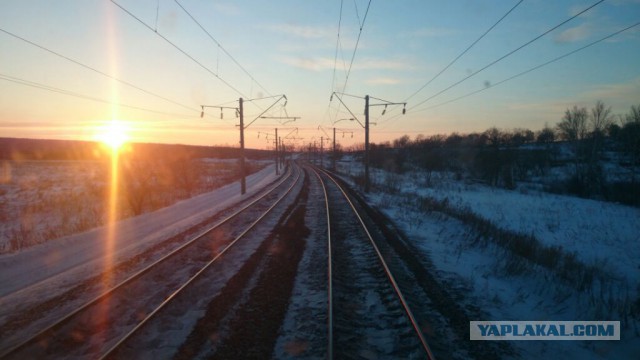 Победители фотоконкурса
