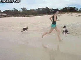 Утренняя пробежка