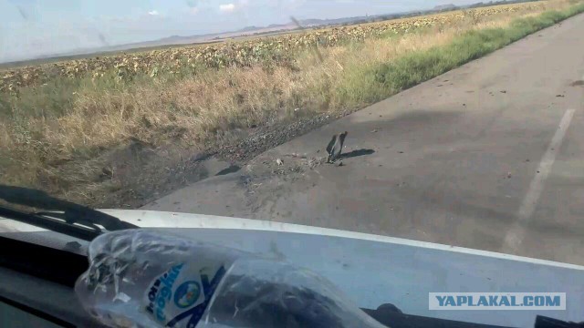 ДНР,Енакиево град накрывает ВСУ в котле Дебальцево