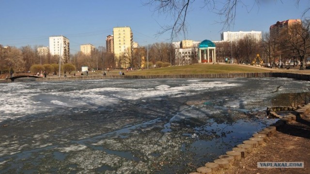 Кусочек дикой природы в Геленджике