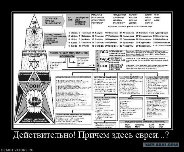 Свой среди своих