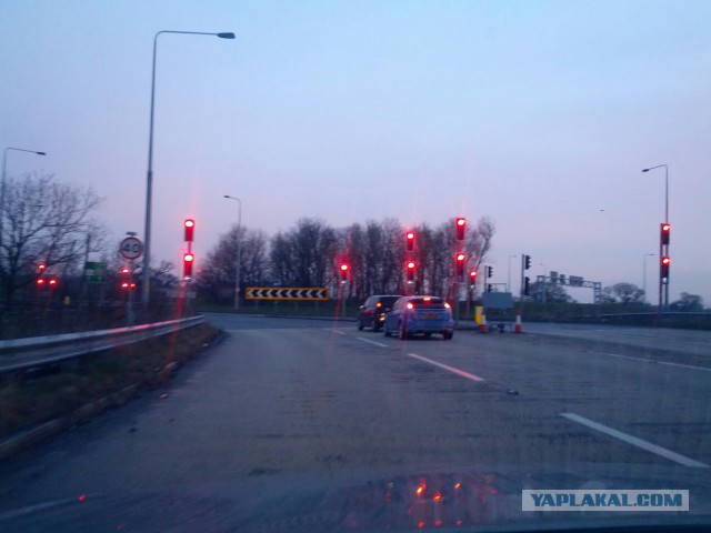 Автоледи в Питере устроила замес