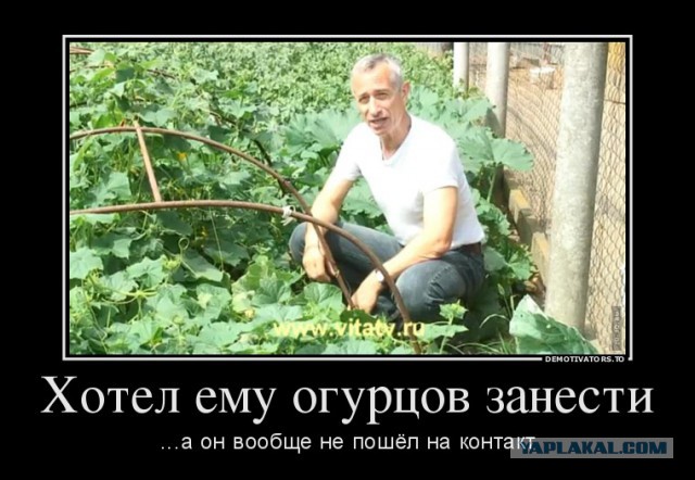 Тем временем сосед по даче