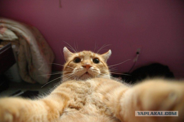 Эвакуация в Челябинском аэропорту.