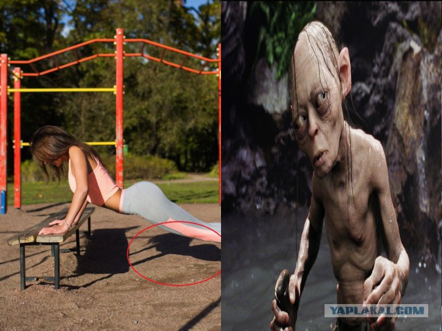 Спортивные девчонки