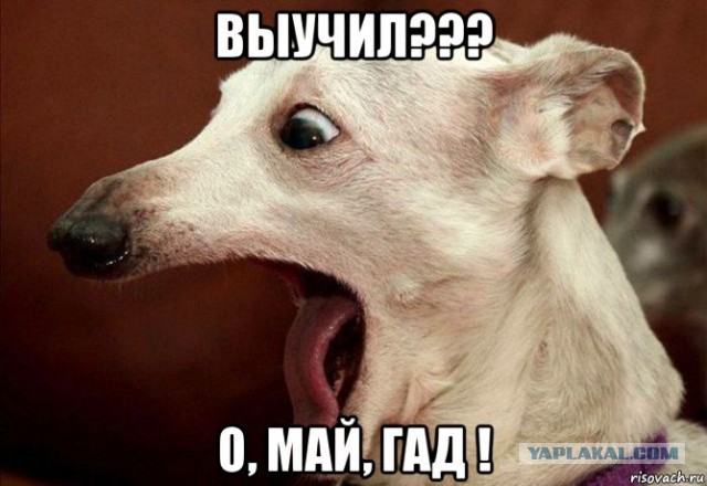 Ах тыж хитрый