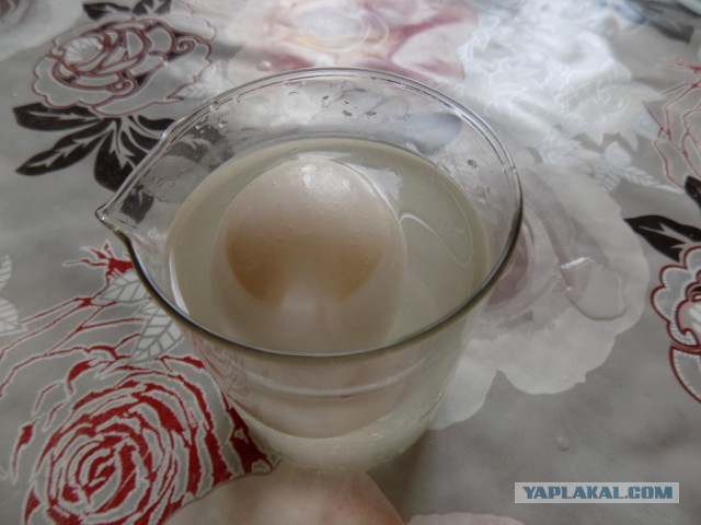 Скумбрия малосольная