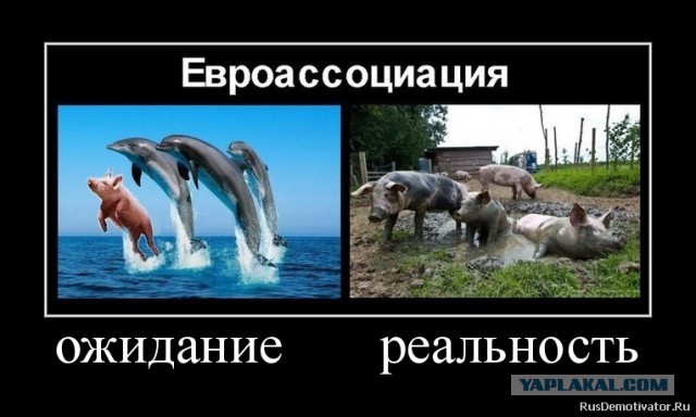 Мусорные баррикады на границе с Россией
