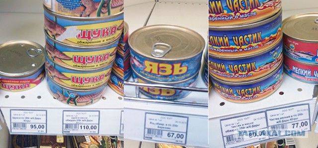 Мурманск и рыба