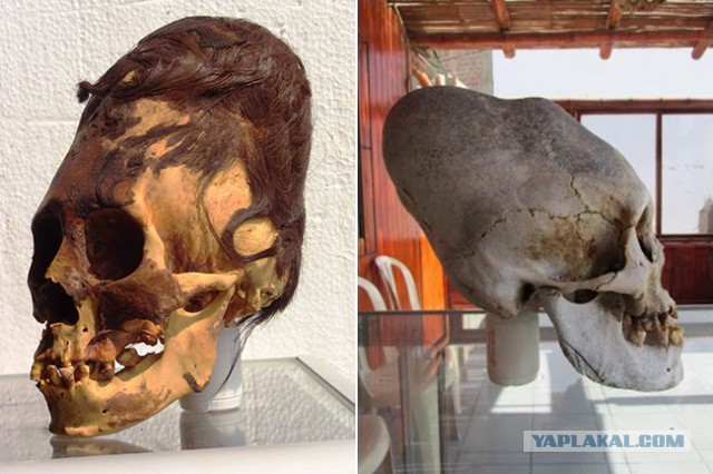 Паракасцы, жившие 3 000 лет назад в Перу, не были людьми