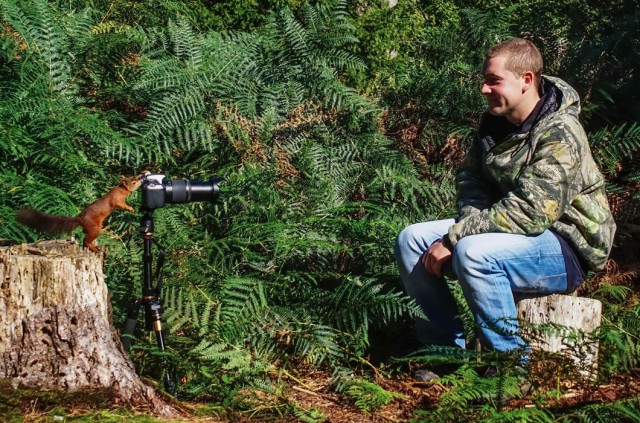 Дикие компаньоны фотографа-натуралиста