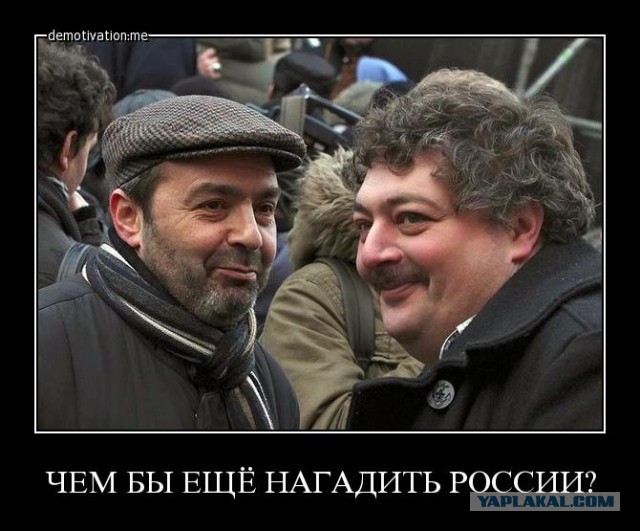 Более 80% россиян одобряют работу Путина