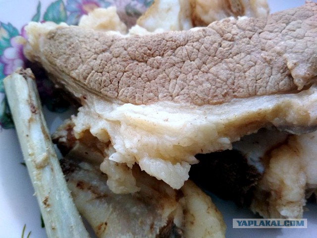 Кулинары поздравляют ЯП с днём рождения!