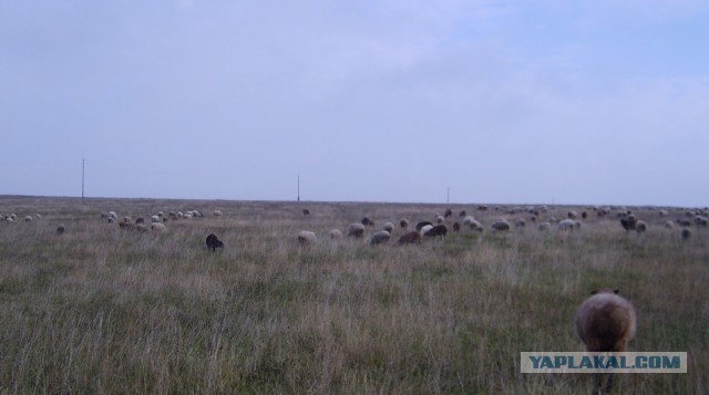 Деревенская Америка - 4