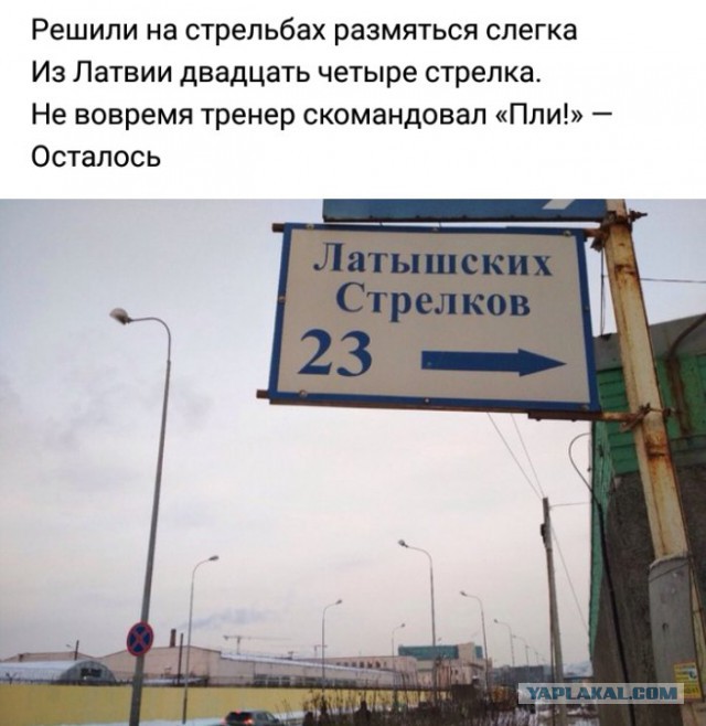 18 шедевров народной поэзии, авторы которых видят рифму буквально на каждом углу