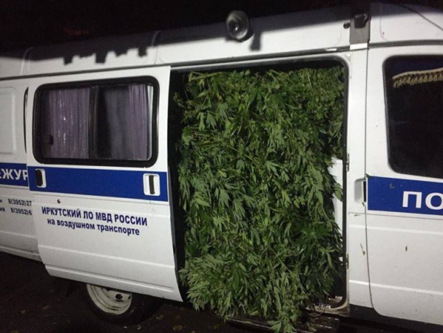 Канада. После легализации Марии Ивановны :) 18+!